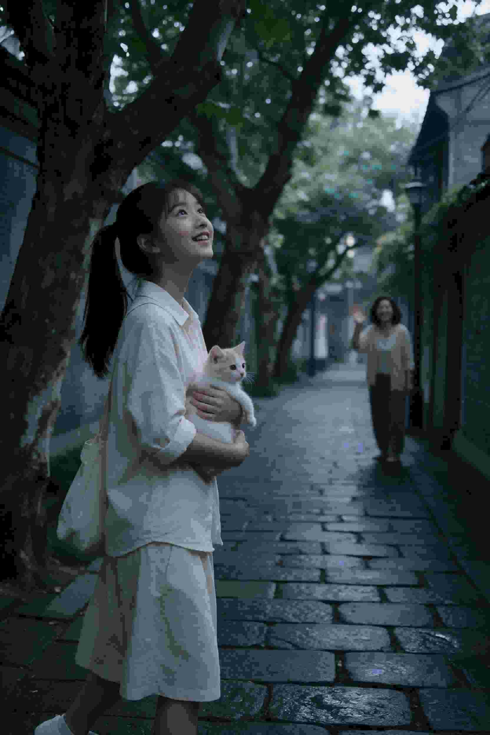卡片7