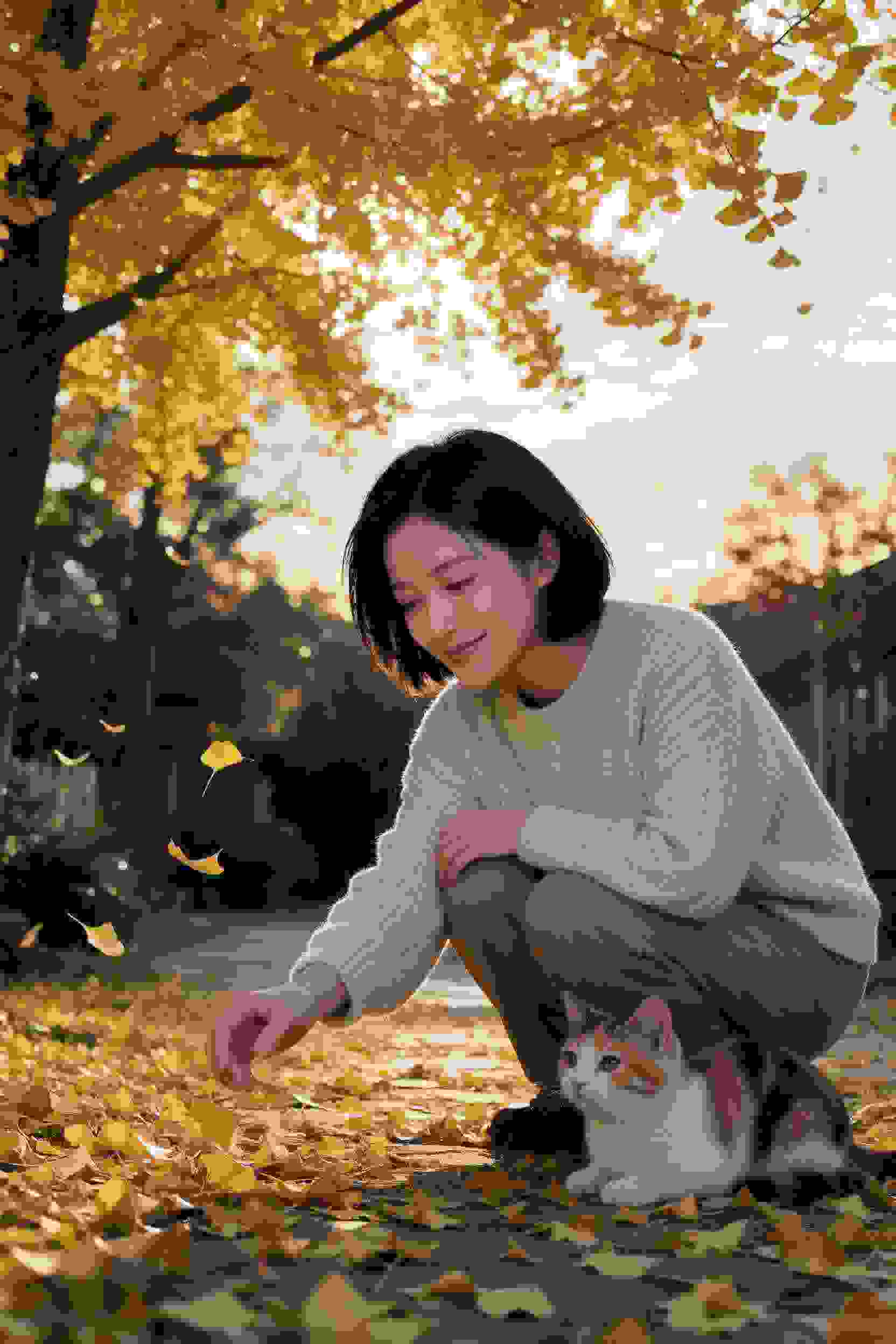 卡片17